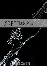 （BG/SD同人）爱上灌篮的你